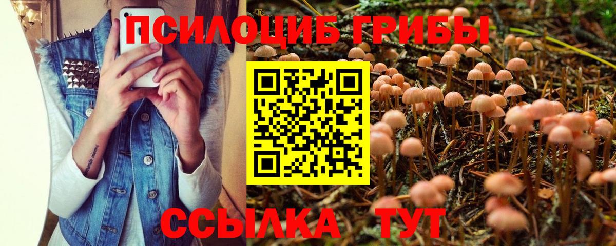 Галлюциногенные грибы Magic Shrooms Лысьва