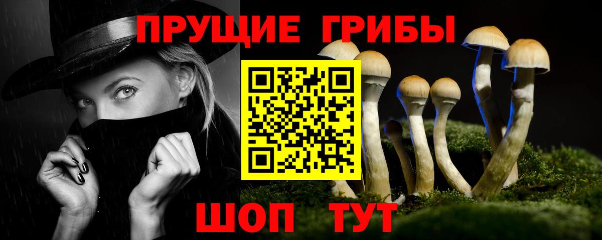 Галлюциногенные грибы GOLDEN TEACHER  Галлюциногенные грибы MAGIC MUSHROOMS  Лысьва  Вход с VPN 